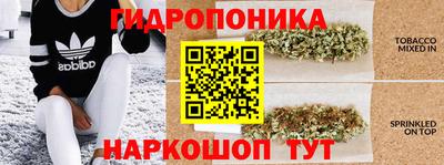 гидропоника Изобильный