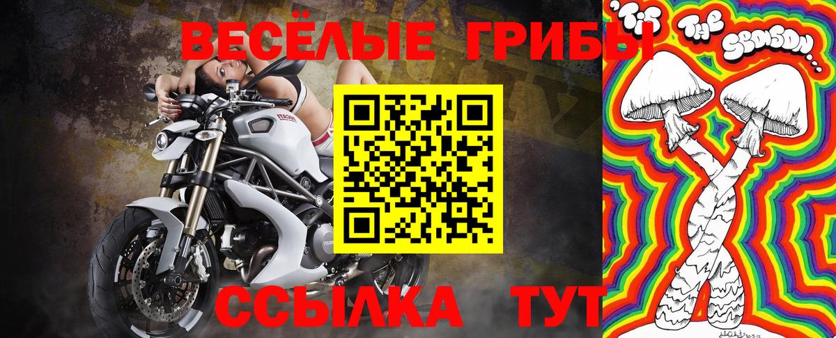 Лениногорск  Псилоцибиновые грибы прущие грибы  Вход с VPN 